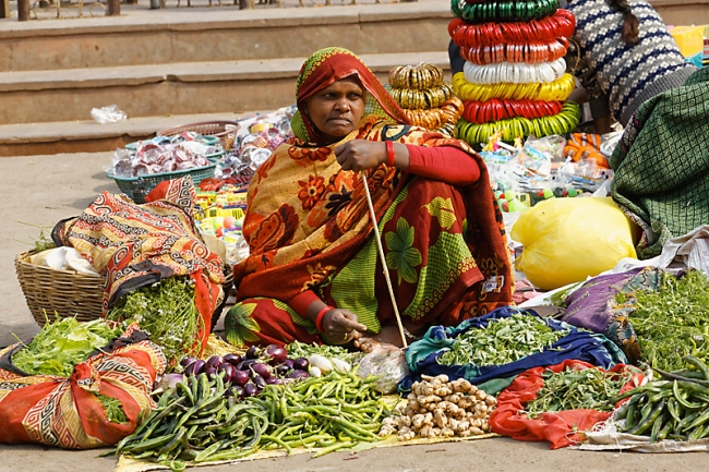Sur la route d'Orchha-105